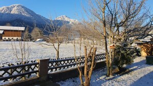 Schneebedeckte Landschaft mit Holzfence, kahlen Bäumen und einem Berg im Hintergrund.