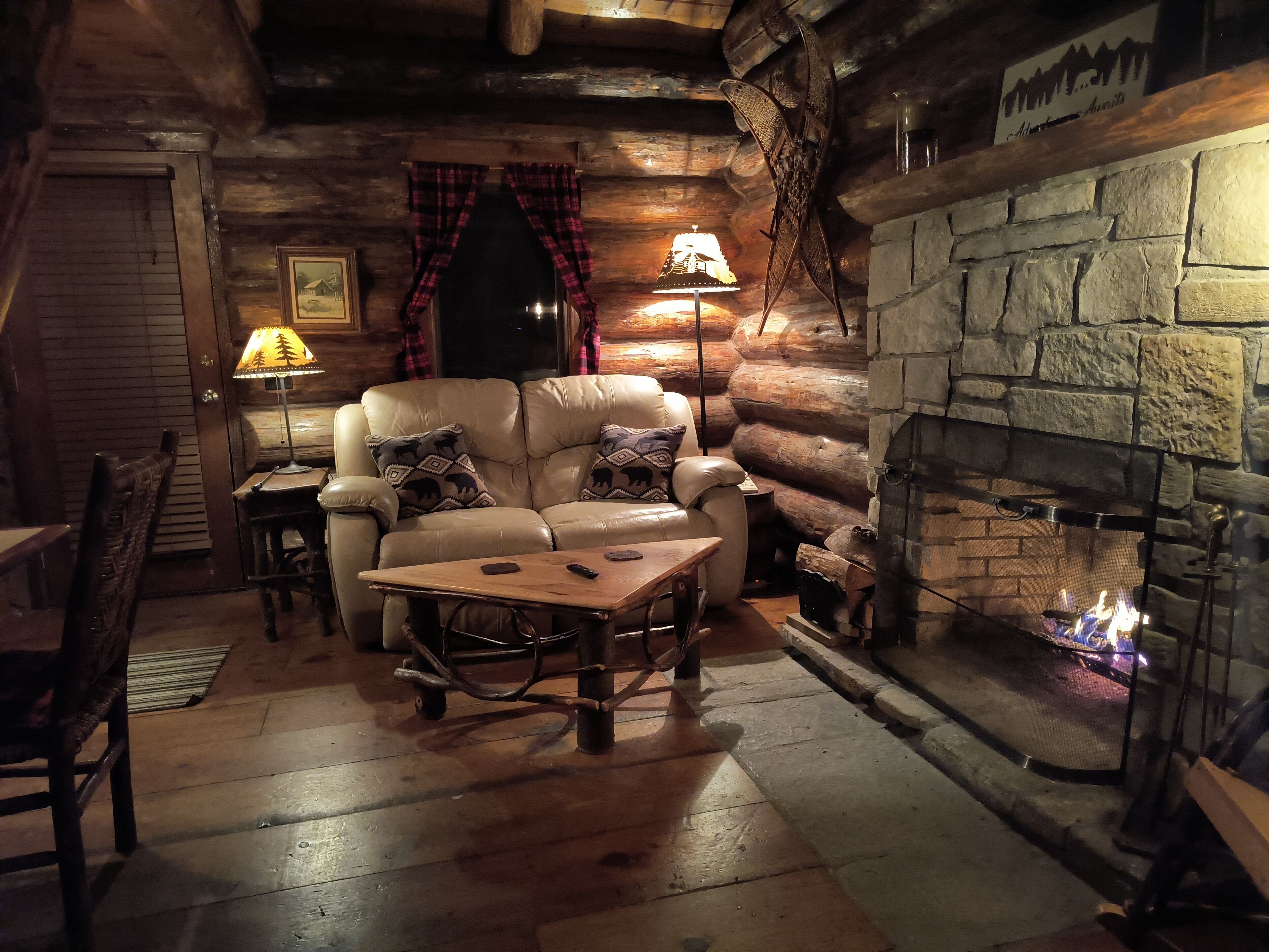 TV, fireplace, books