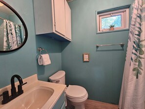 A bathroom with a sink, toilet, and a window with a plant. - Refreshing home with WiFi, AC, fireplace in marvelous Heart of Yadkin Valley  (Jonesville)