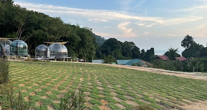 DNAMIE GLAMPING - LUX TENT