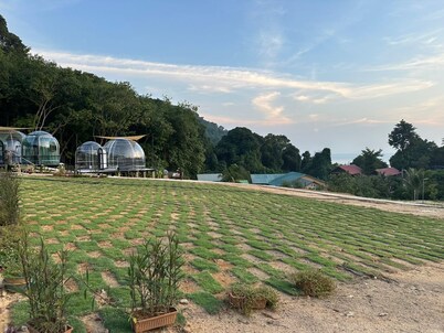 DNAMIE GLAMPING - LUX TENT