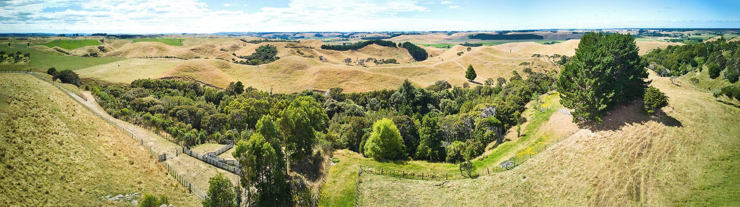 Vista panorámica de colinas onduladas con un sendero cercado y densas áreas forestales.