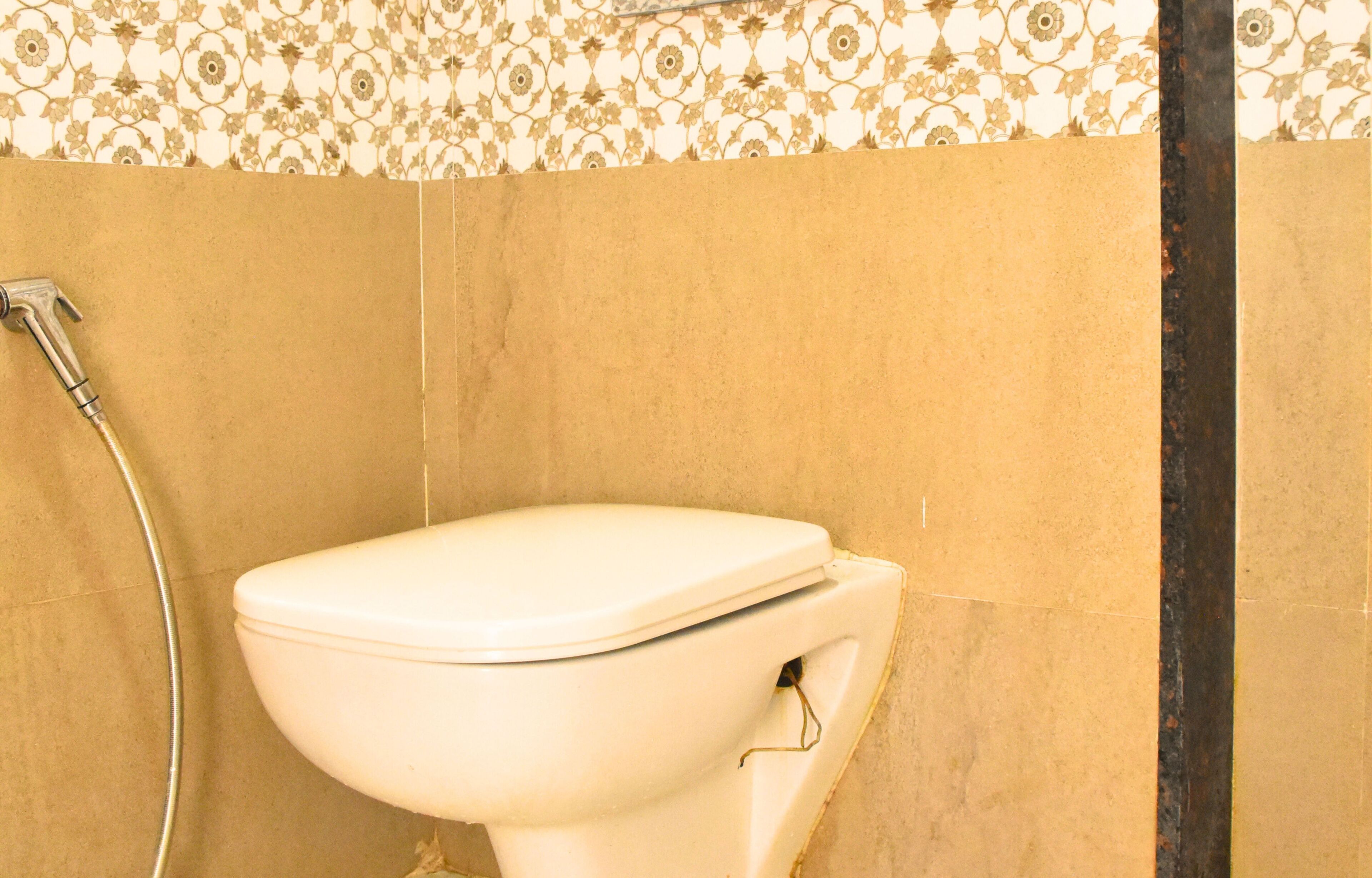 A toilet with a showerhead to its left.