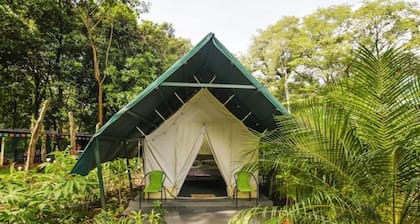 Glamping Rupia Manzu. Live the experience