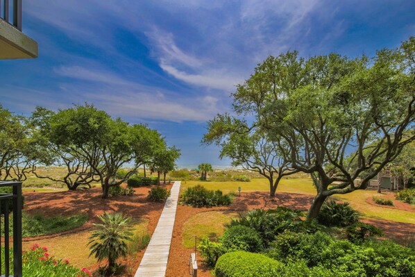 Unclassified image, 1 of 49, button