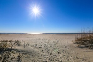 صورة غير مصنفة، 2 من 49، زرّ