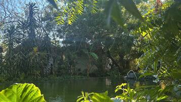 A serene garden with a pond, lush greenery, and a clear blue sky.