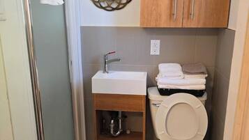 Shower, hair dryer, bidet, towels