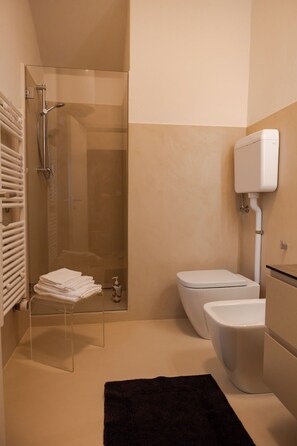 Shower, hair dryer, bidet, towels