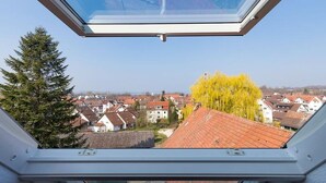 Un tragaluz con vistas a una zona residencial con casas y árboles.