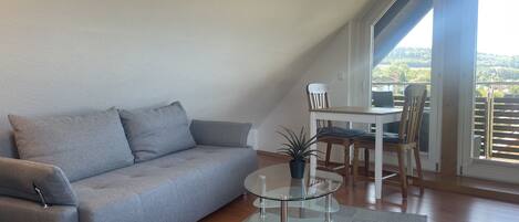 Fernseher, DVD-Player