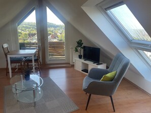 Fernseher, DVD-Player