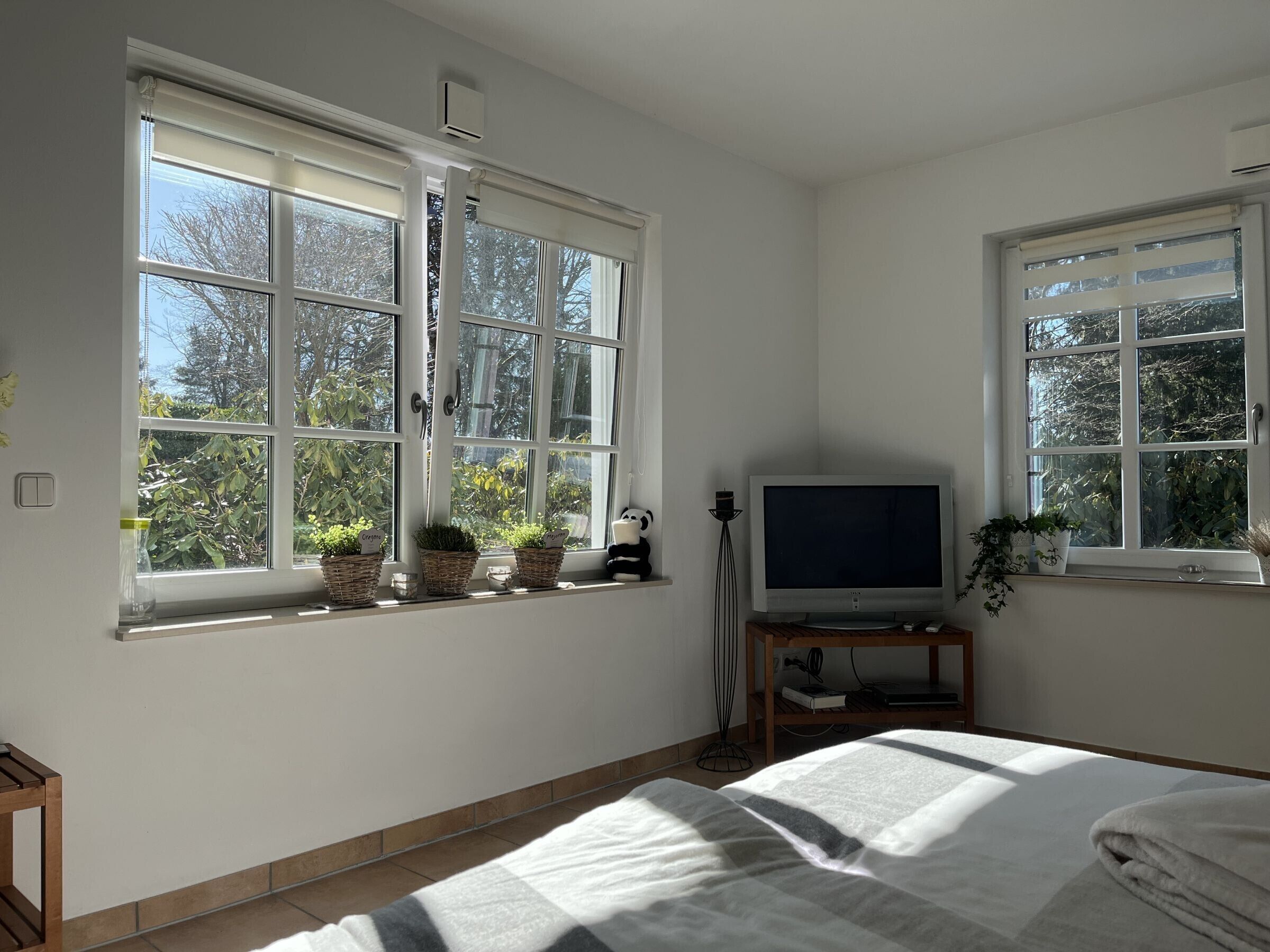 A bedroom with a bed, a TV on a stand, and two windows with potted plants.