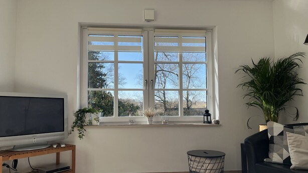 Quarto com televisão sobre suporte de madeira, janela com vista para árvores, planta em vaso e mesa auxiliar redonda preta.