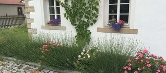 Maison de vacances Chat Noir