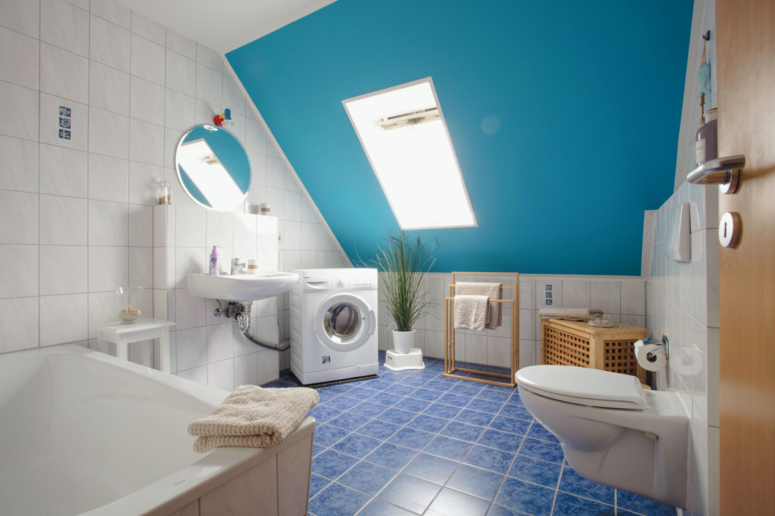 Shower, hair dryer, soap, toilet paper