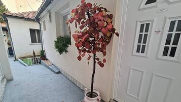 Room, 1 Bedroom, Accessible, Balcony | Exterior detail