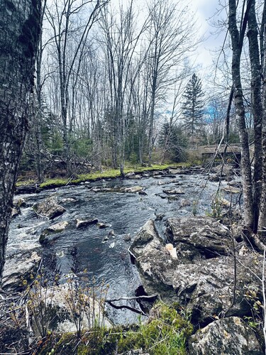 Blue Cabin by the Brook in Surry close to Acadia National Park and Bar Harbor