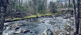 Blue Cabin by the Brook in Surry close to Acadia National Park and Bar Harbor