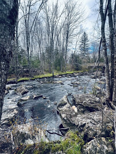 Blue Cabin by the Brook in Surry close to Acadia National Park and Bar Harbor