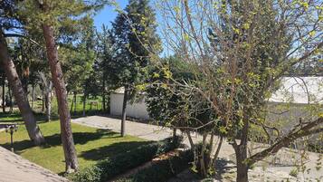 Un patio con árboles, una zona techada y un camino de piedra.