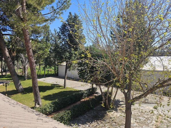 Un patio con árboles, una zona techada y un camino de piedra.