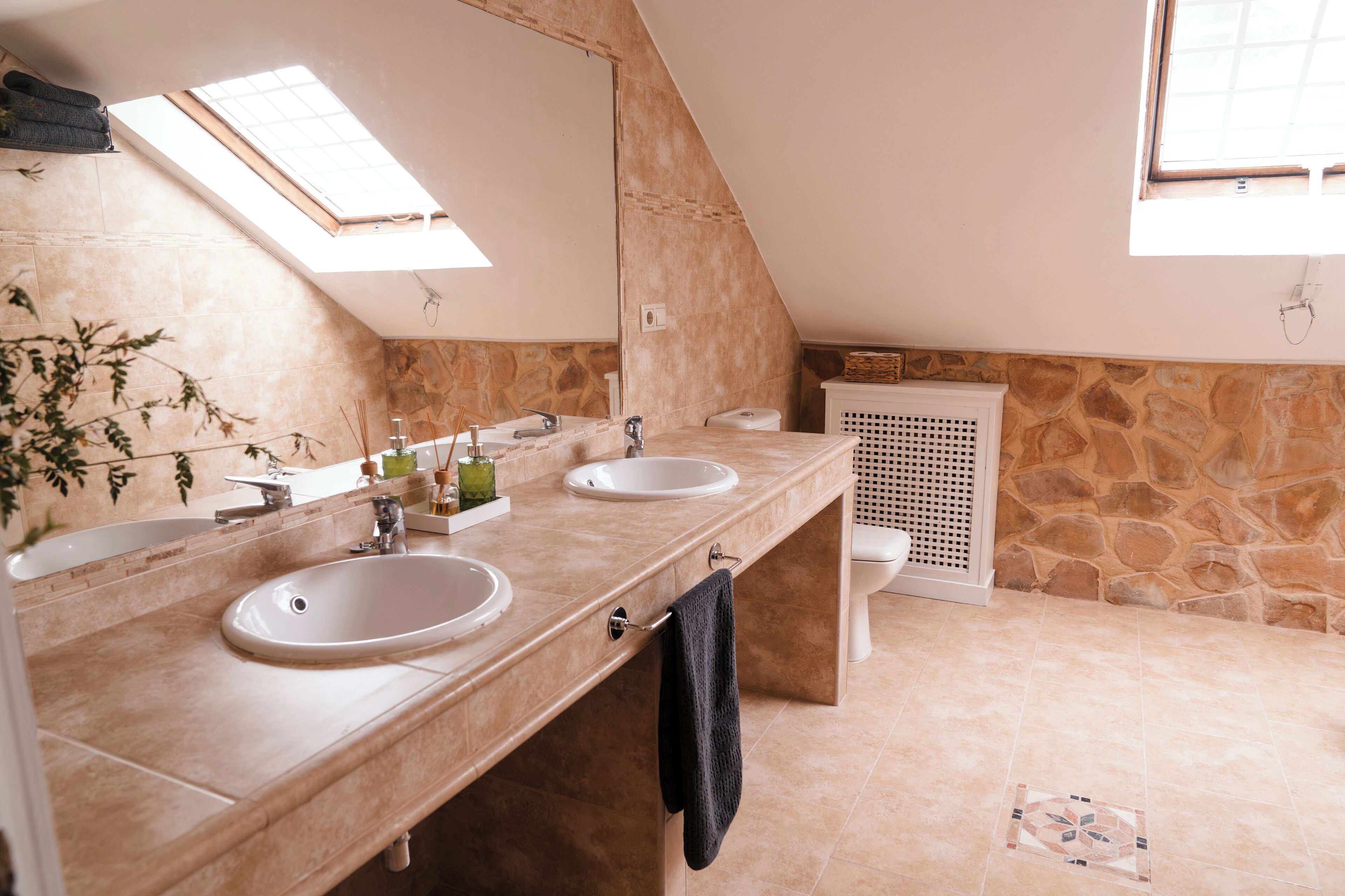 Photo - Vega de la Reina