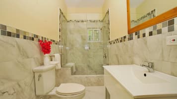 Shower, towels, toilet paper