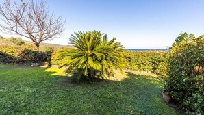 En trädgård med en palm, ett stort träd och utsikt över havet.