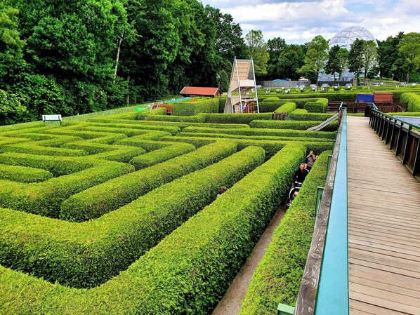 Property grounds - Vacation apartment Xxl Lausitz direct (Radibor)