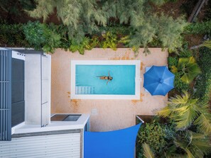 A rooftop pool with a person swimming, surrounded by lush greenery and a blue umbrella. - Coral Reef Villas (Watamu)