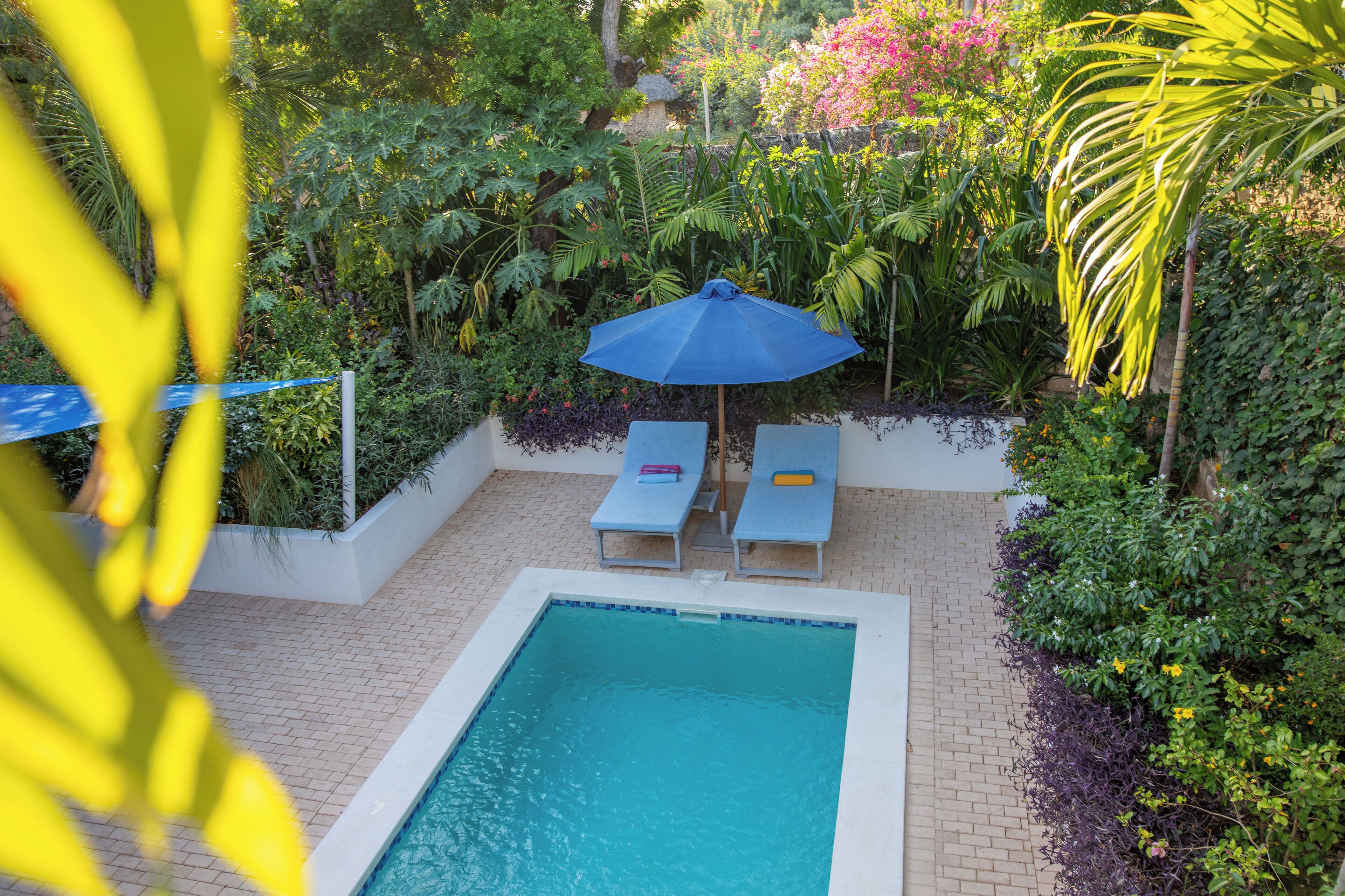 A rectangular pool with two lounge chairs and a blue umbrella.