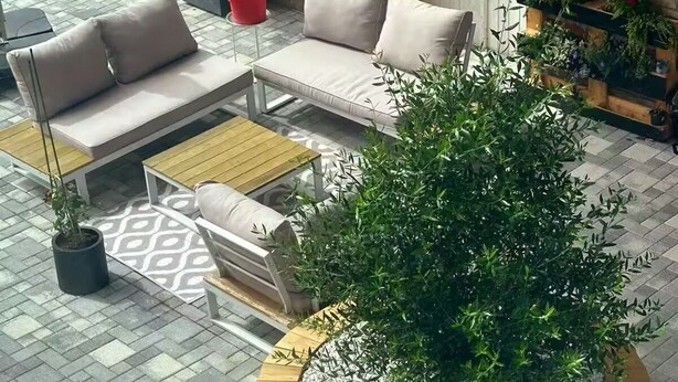 Eine Terrasse mit einer Couch, einem Couchtisch und einer Blumentopfpflanze.