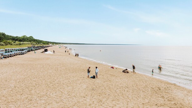 Una amplia playa arenosa con gente caminando y parada, y una fila de sillas de playa a la izquierda.