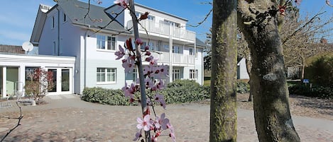A building with a white exterior, a paved driveway, and a tree with pink blossoms.