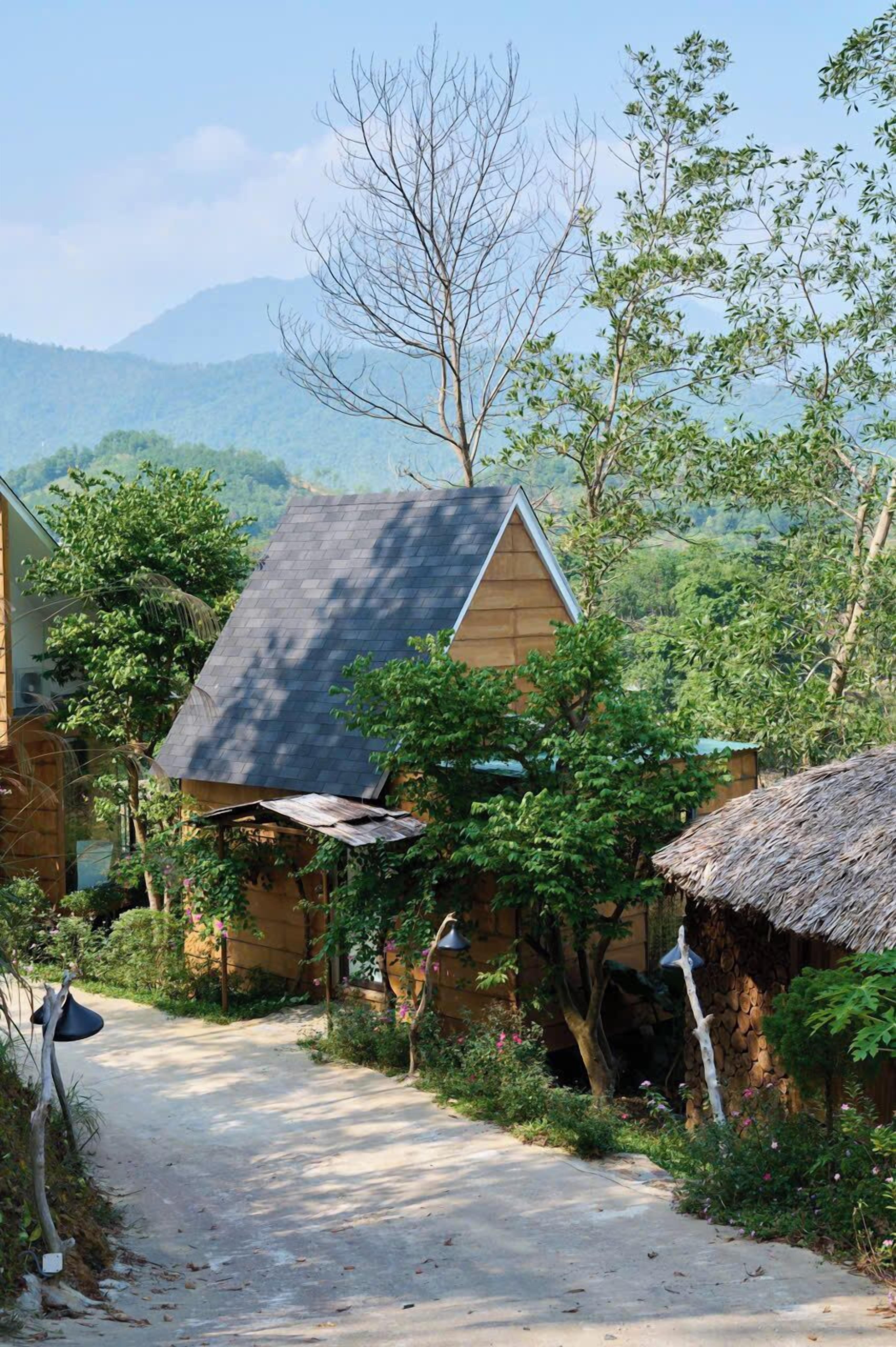 Quang cảnh sân vườn