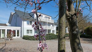 Un edificio con facciata bianca, vialetto lastricato e un albero in fiore rosa.