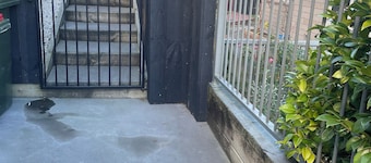 Charming 2-bedroom apartment with WiFi, AC in amazing Rotorua