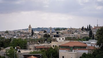 Un paisaje urbano con edificios históricos, incluyendo una torre y cúpulas destacadas.