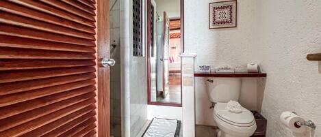A bathroom with a toilet, a sink, a mirror, and a wooden door.
