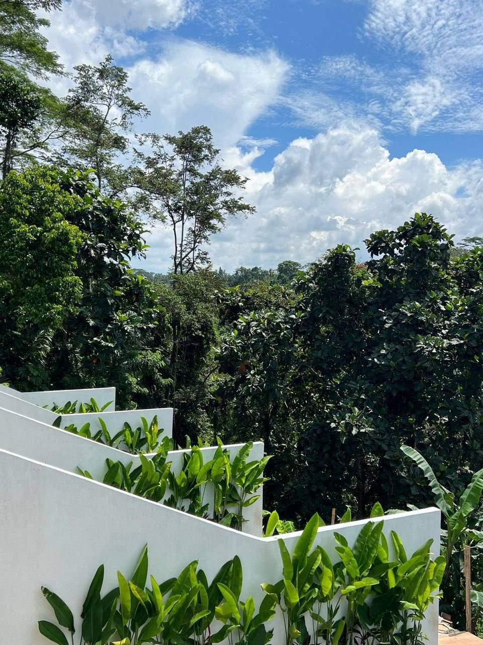 A modern building with white walls and green plants.