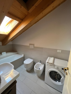 Shower, hair dryer, bidet, towels