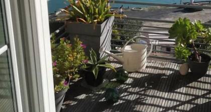 Vue sur le port et le havre de Carteret