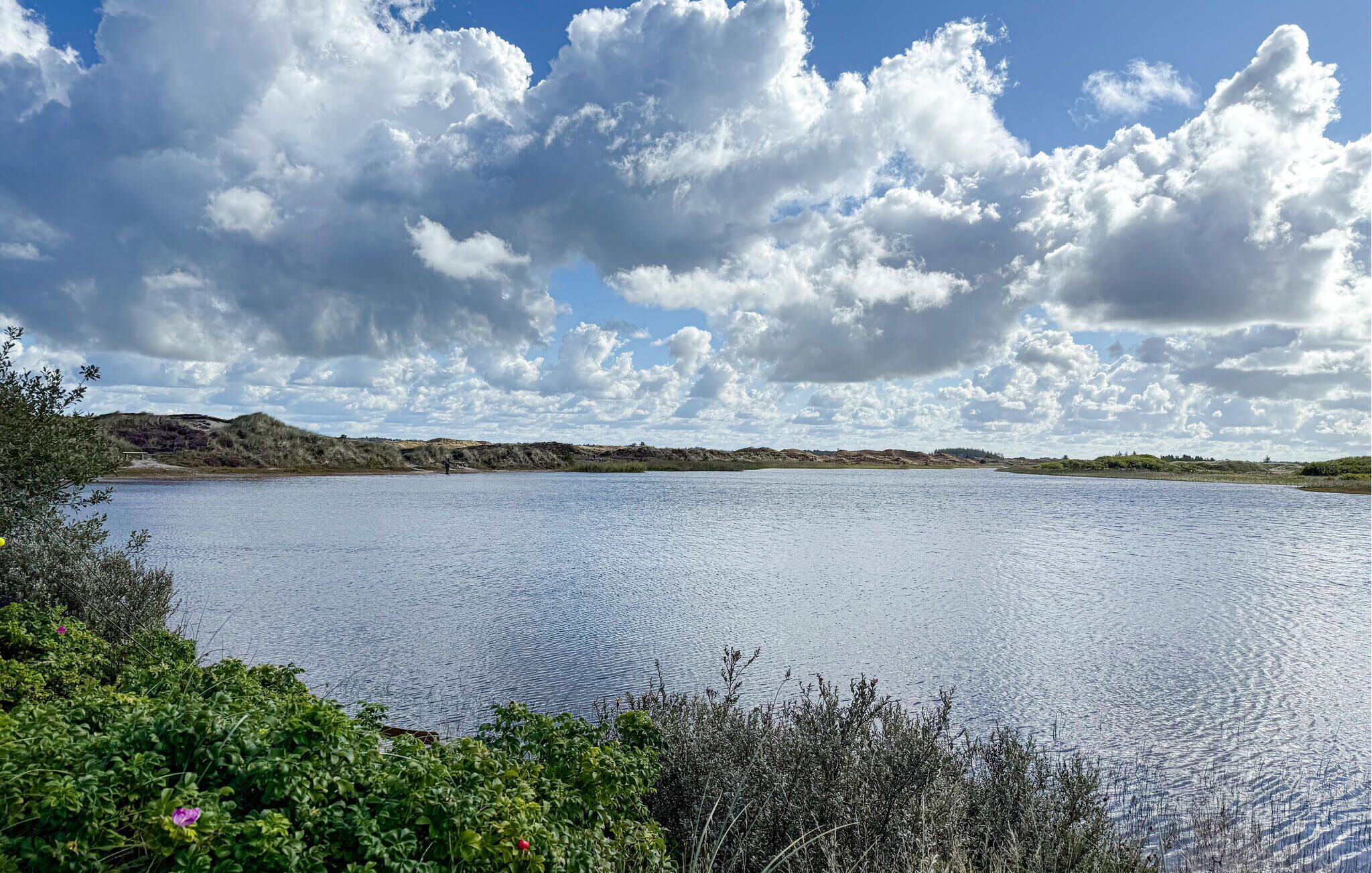 منوع