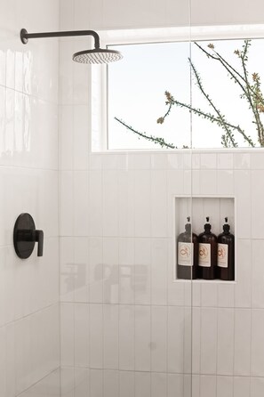 Shower, hair dryer