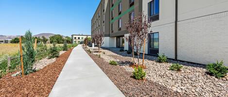 A modern building with a concrete pathway, small trees, and a gravel area.