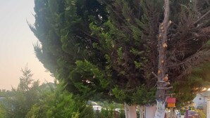 An outdoor seating area with tables and chairs, surrounded by trees and greenery. - Aydın Motel (Marmara)