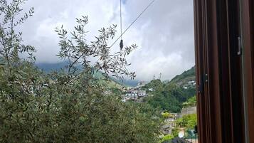 Vista a la montaña