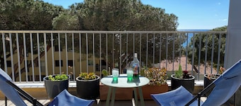 Apartment 100m from the beach, fully renovated, 3 bedrooms, ideal for families