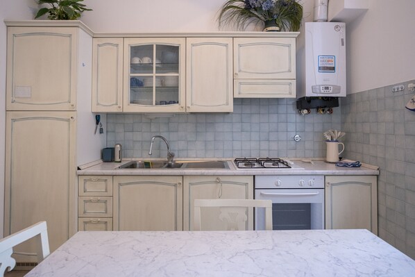 Fridge, oven, stovetop, dishwasher